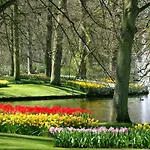 Hotel Hotel Crown Amsterdam